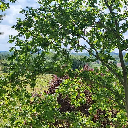 Pensjonat Magnanerie De Sainte Croix 3*